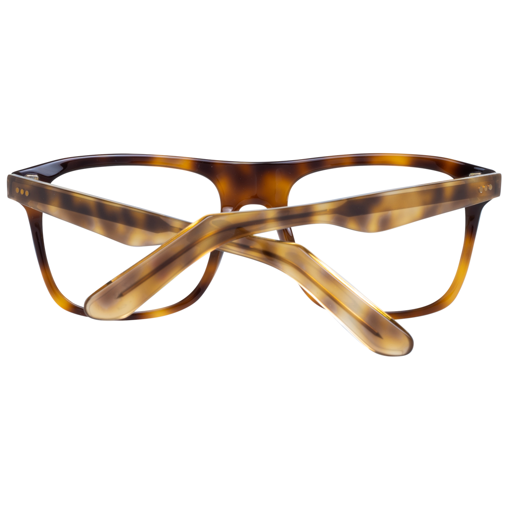 Brown/Demo glasses