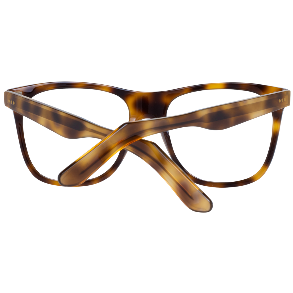 Brown/Demo glasses