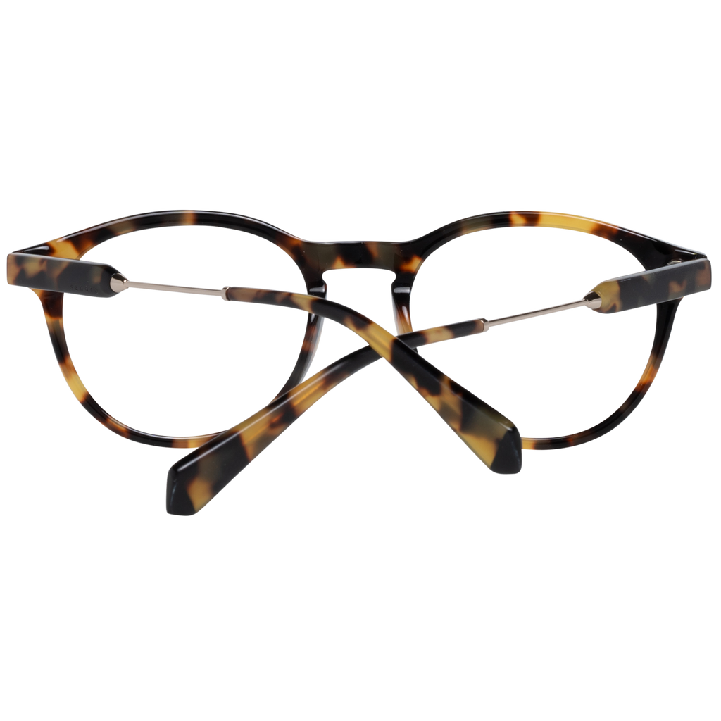 Brown/Demo glasses