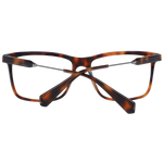Brown/Demo glasses