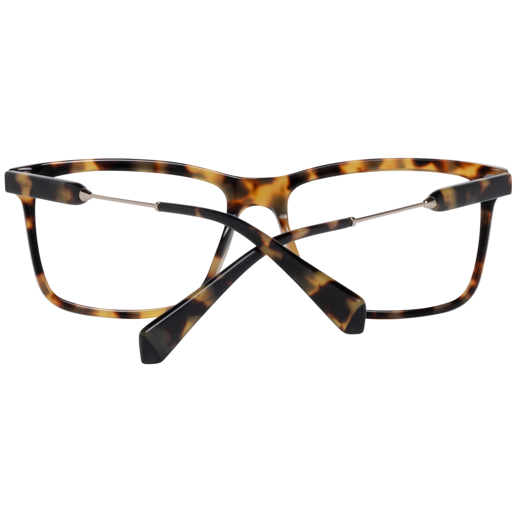 Brown/Demo glasses