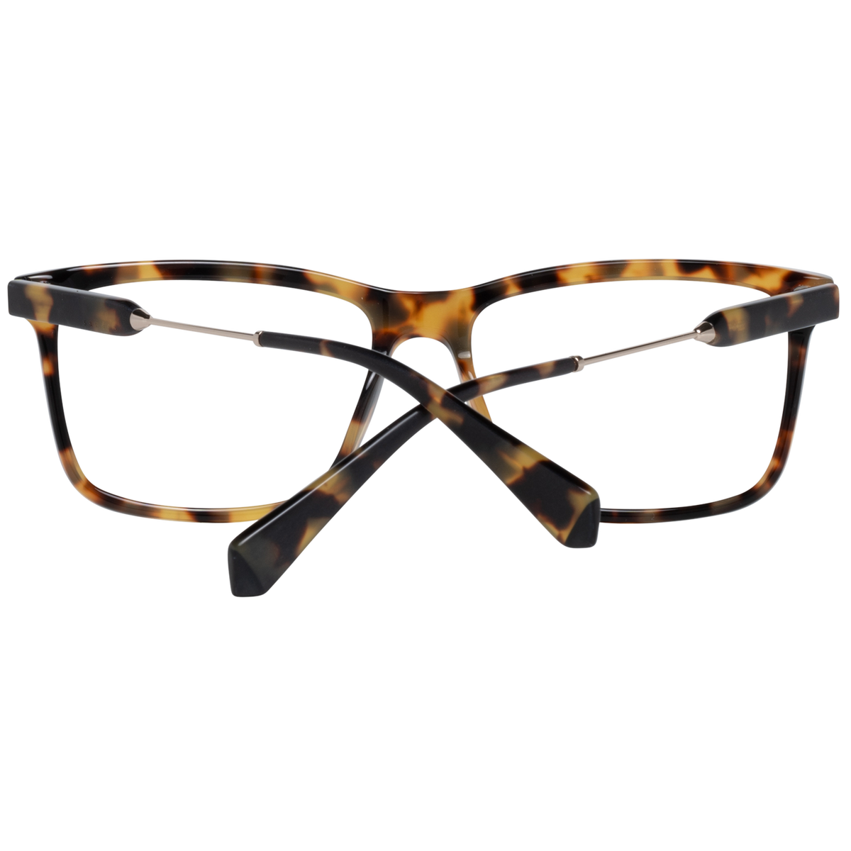 Brown/Demo glasses
