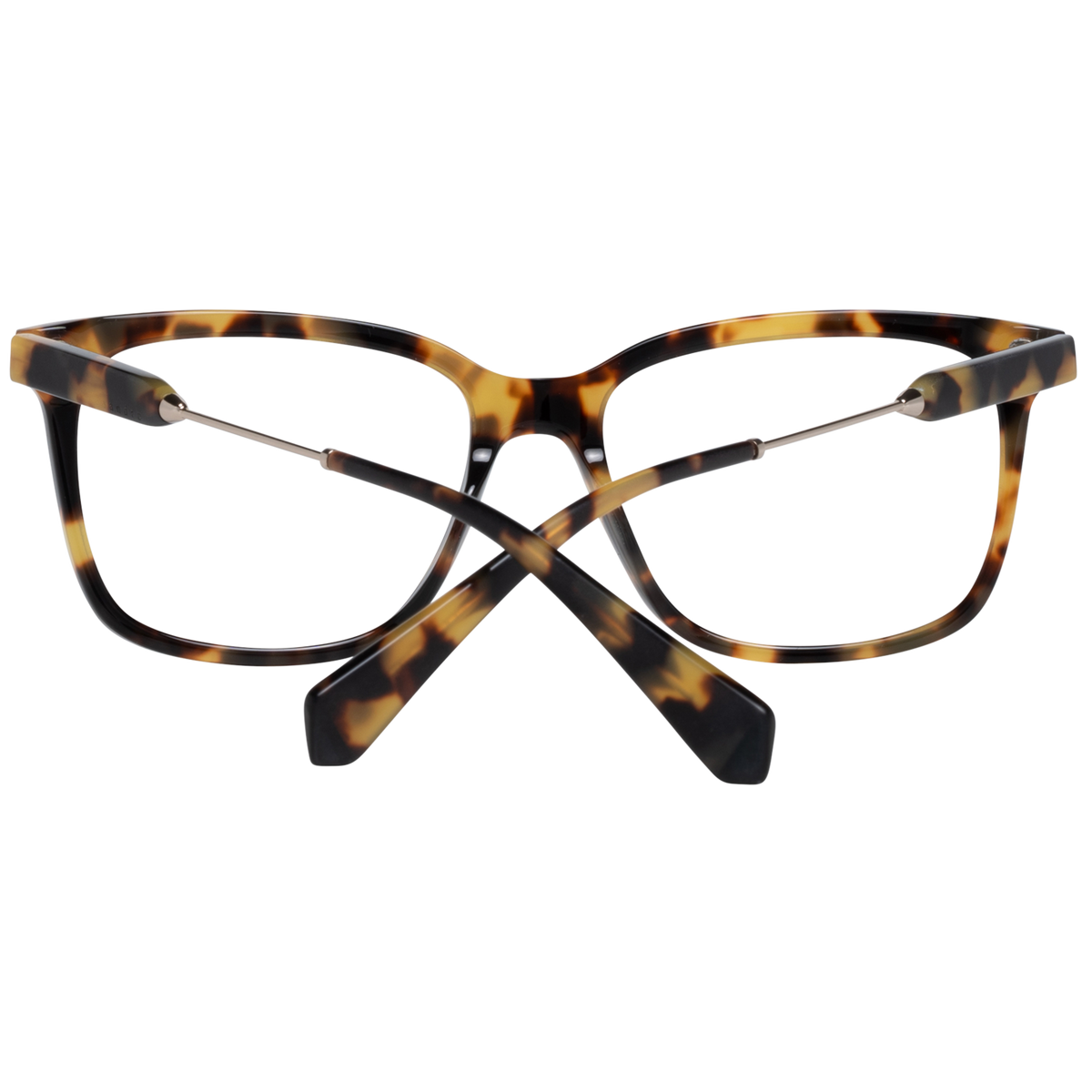 Brown/Demo glasses