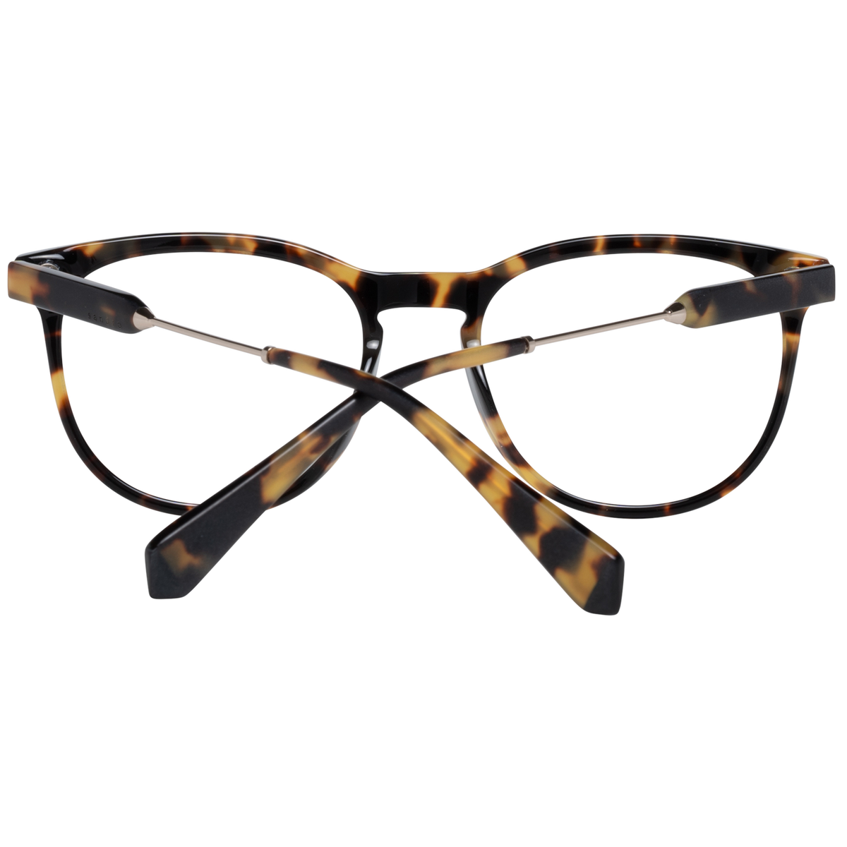 Brown/Demo glasses