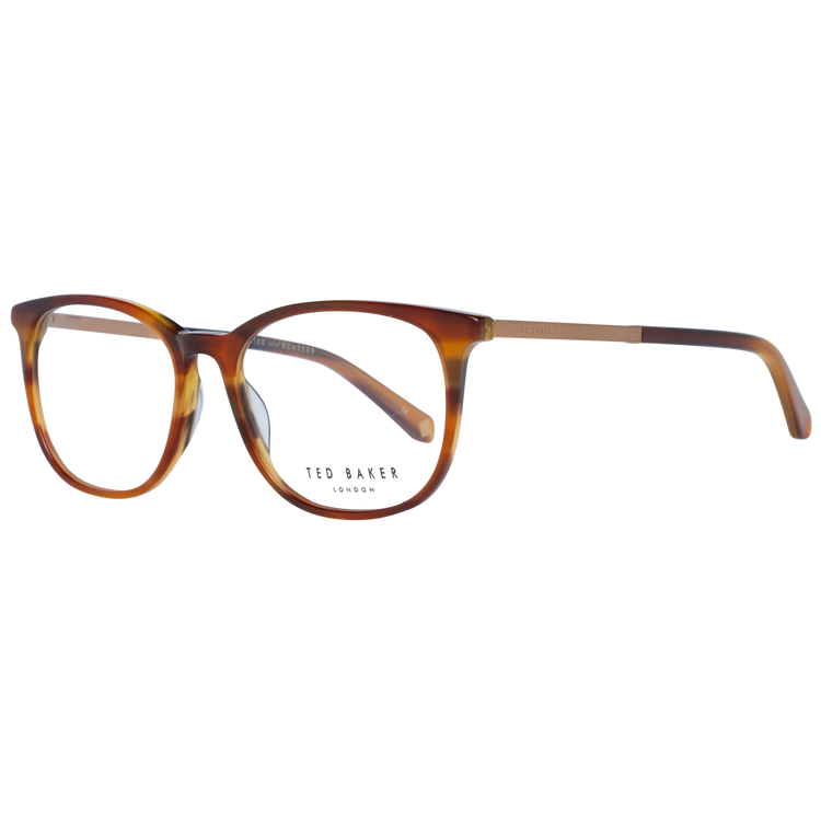 Brown/Demo glasses
