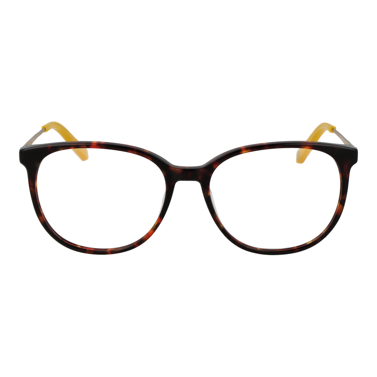 Brown/Demo glasses