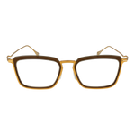 Gold/Demo glasses