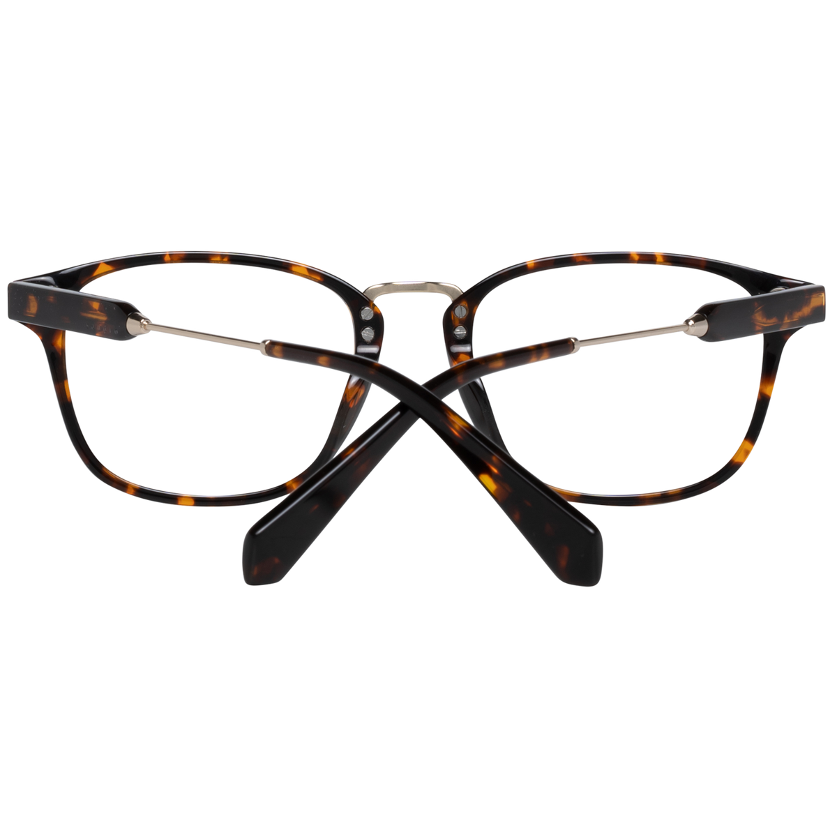 Brown/Demo glasses