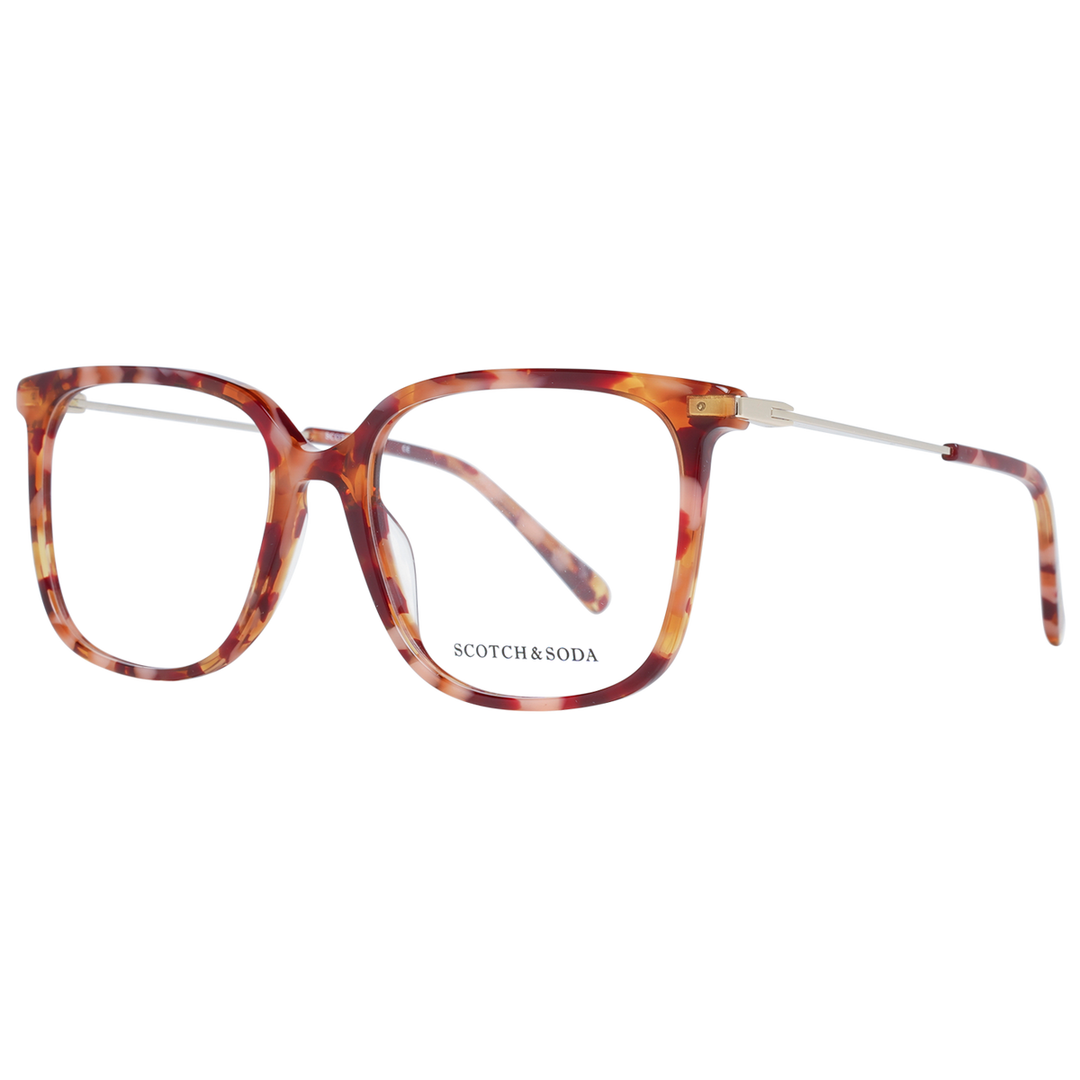 Orange/Demo glasses