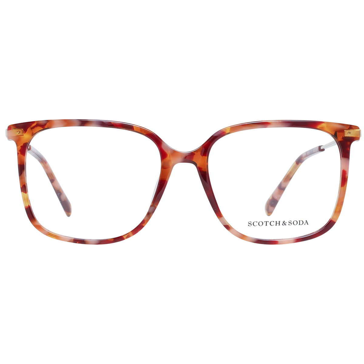 Orange/Demo glasses