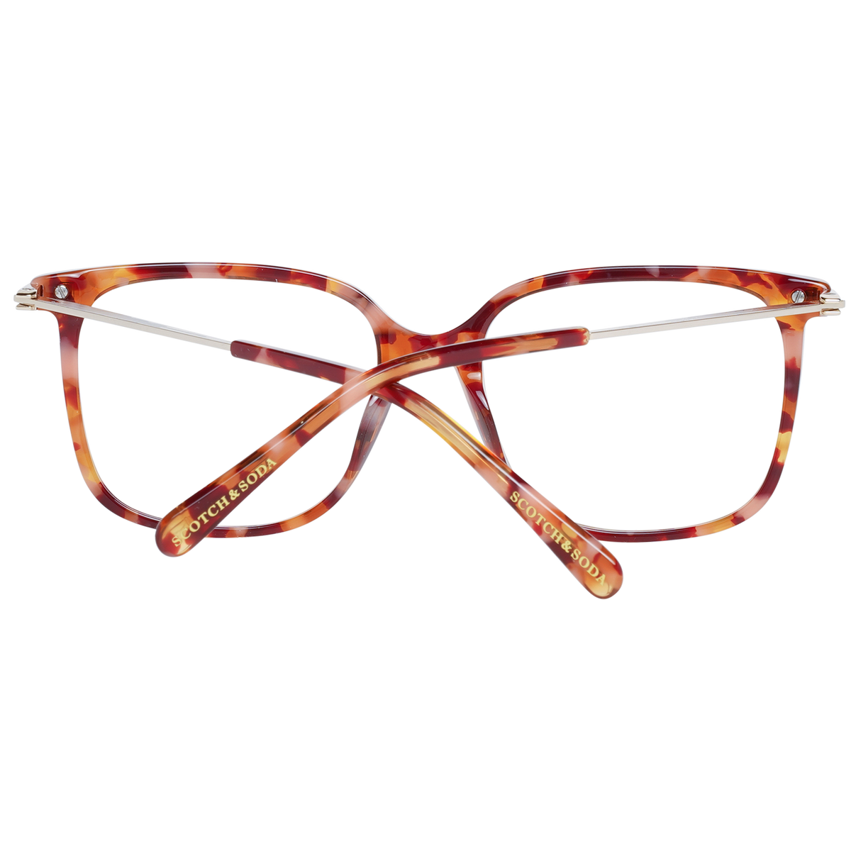 Orange/Demo glasses