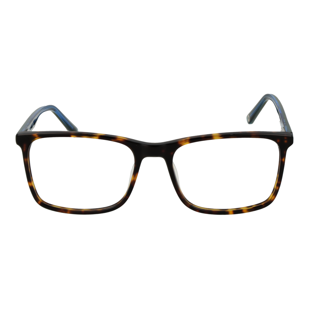 Brown/Demo glasses