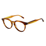 Brown/Demo glasses