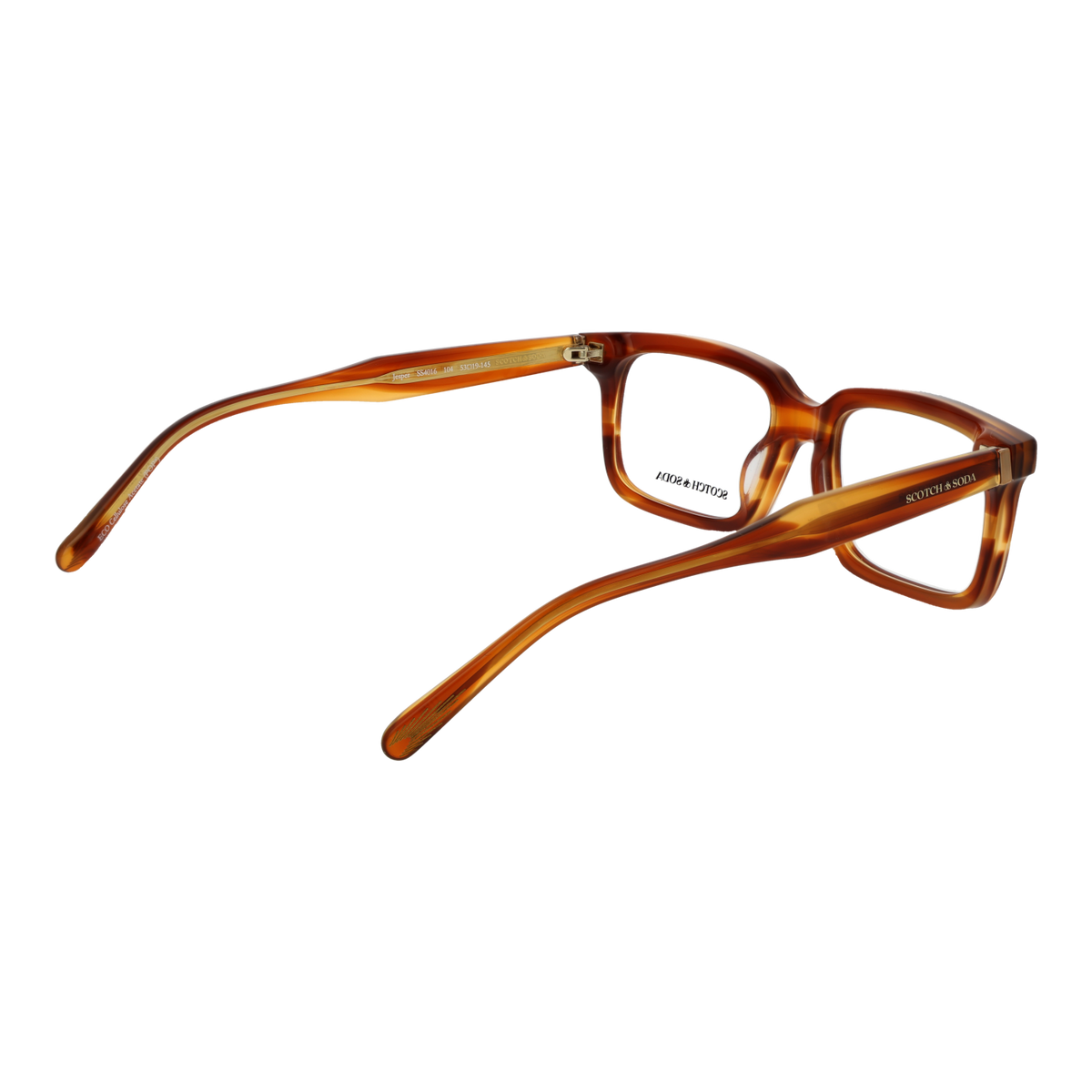 Brown/Demo glasses