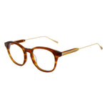 Brown/Demo glasses