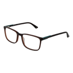 Brown/Demo glasses