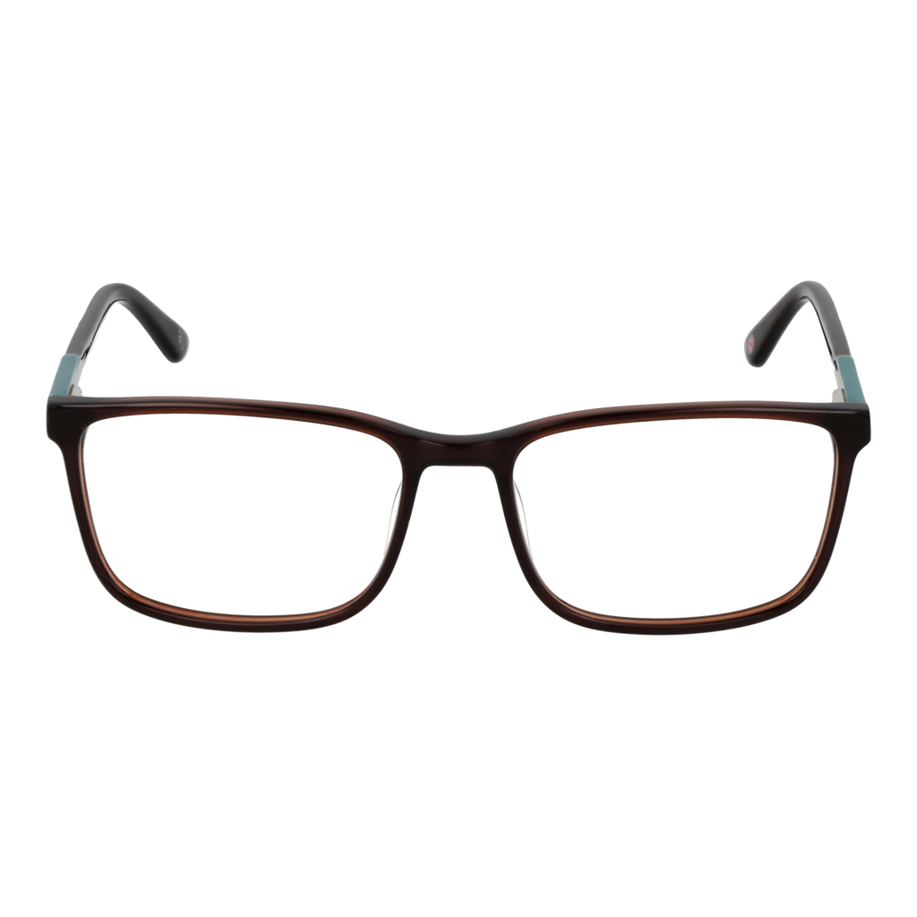 Brown/Demo glasses