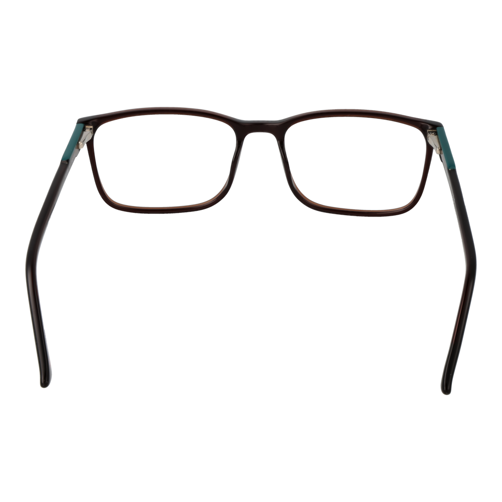 Brown/Demo glasses