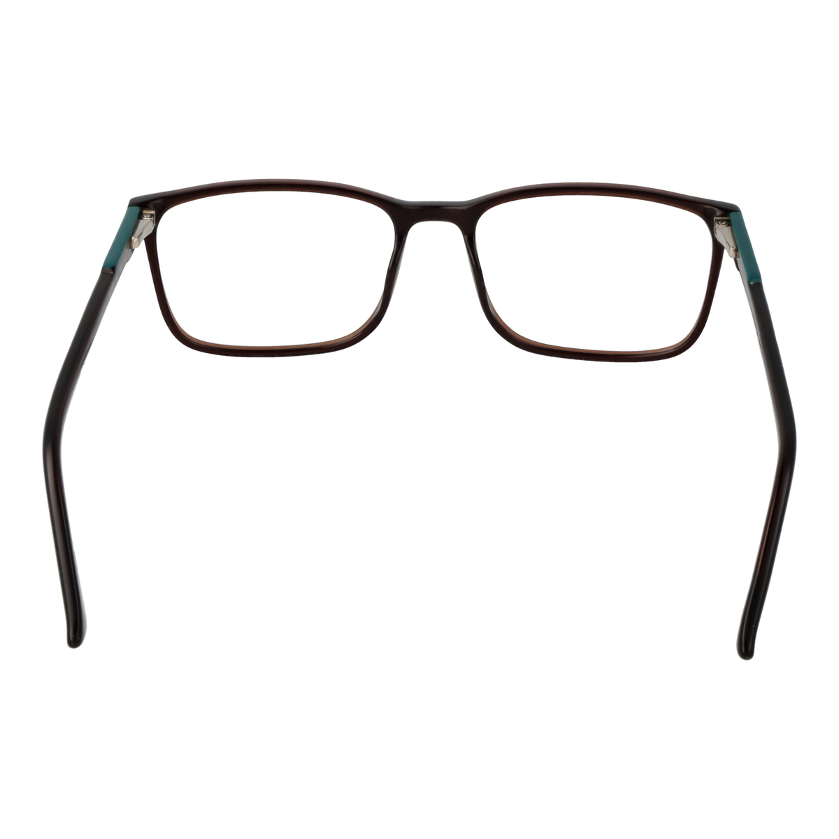 Brown/Demo glasses