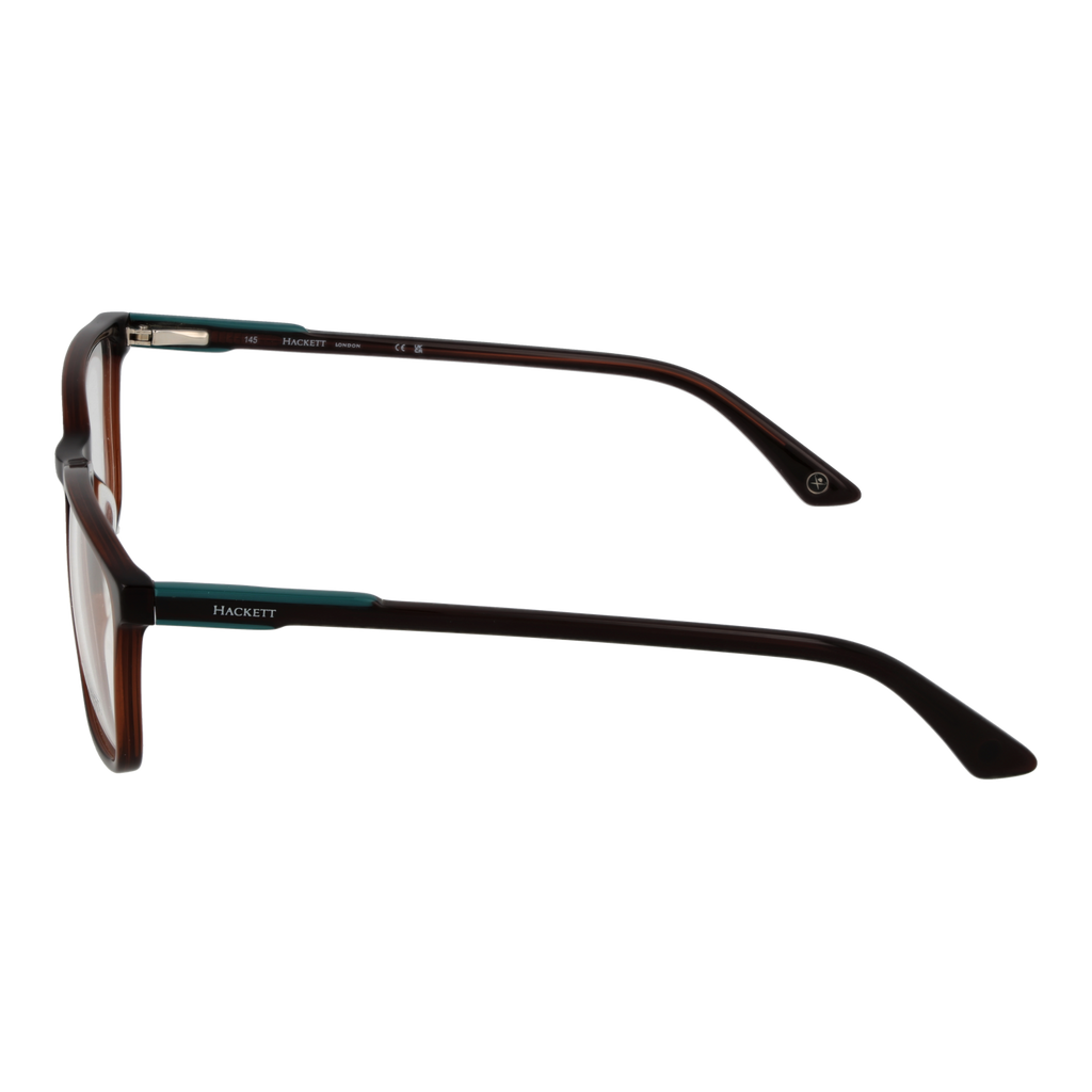 Brown/Demo glasses