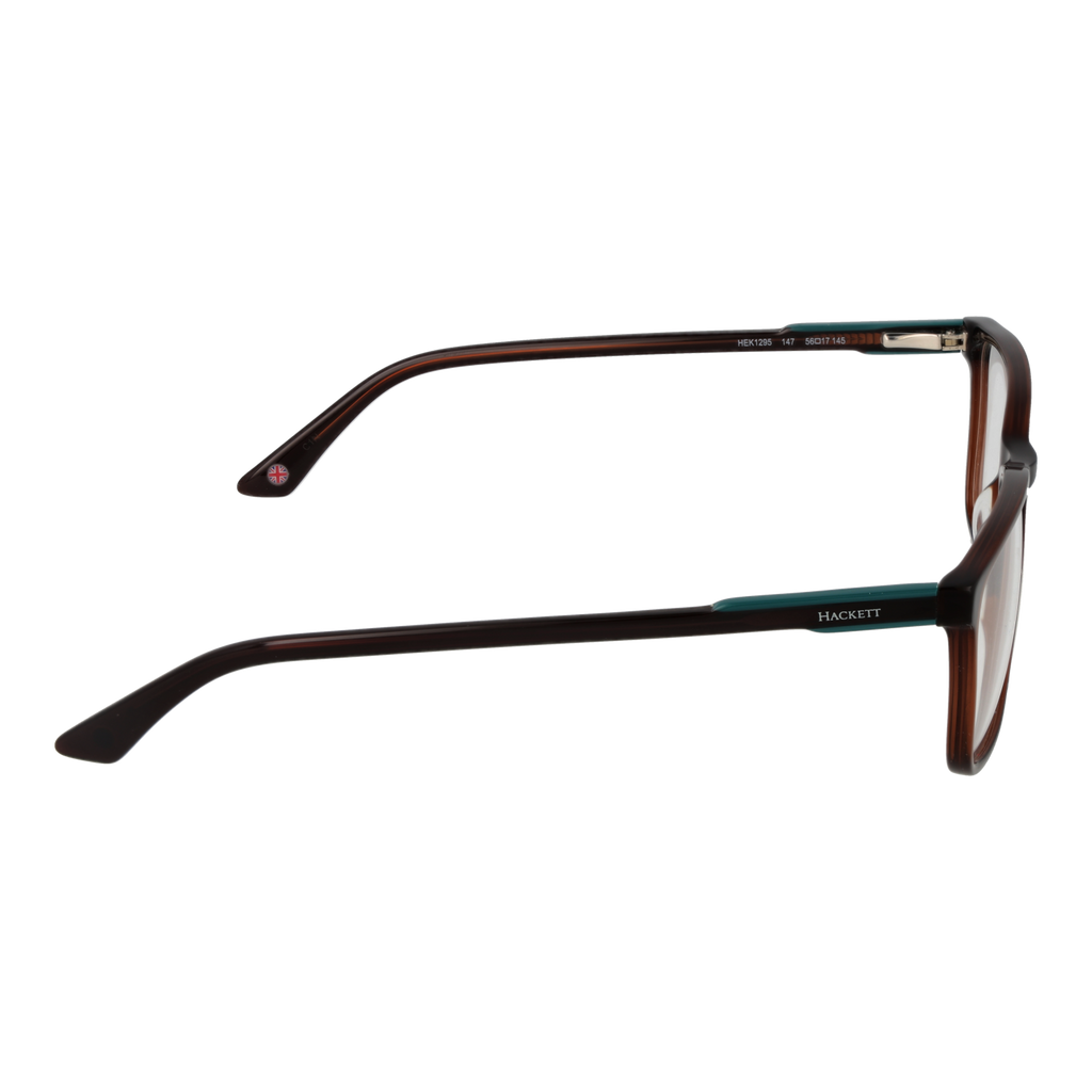 Brown/Demo glasses