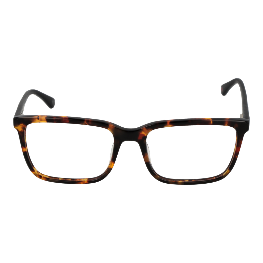 Brown/Demo glasses
