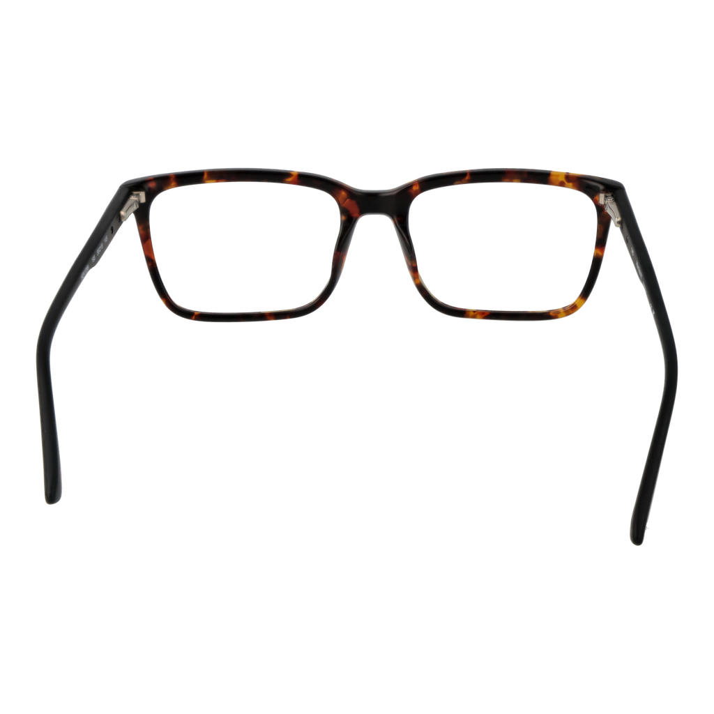 Brown/Demo glasses