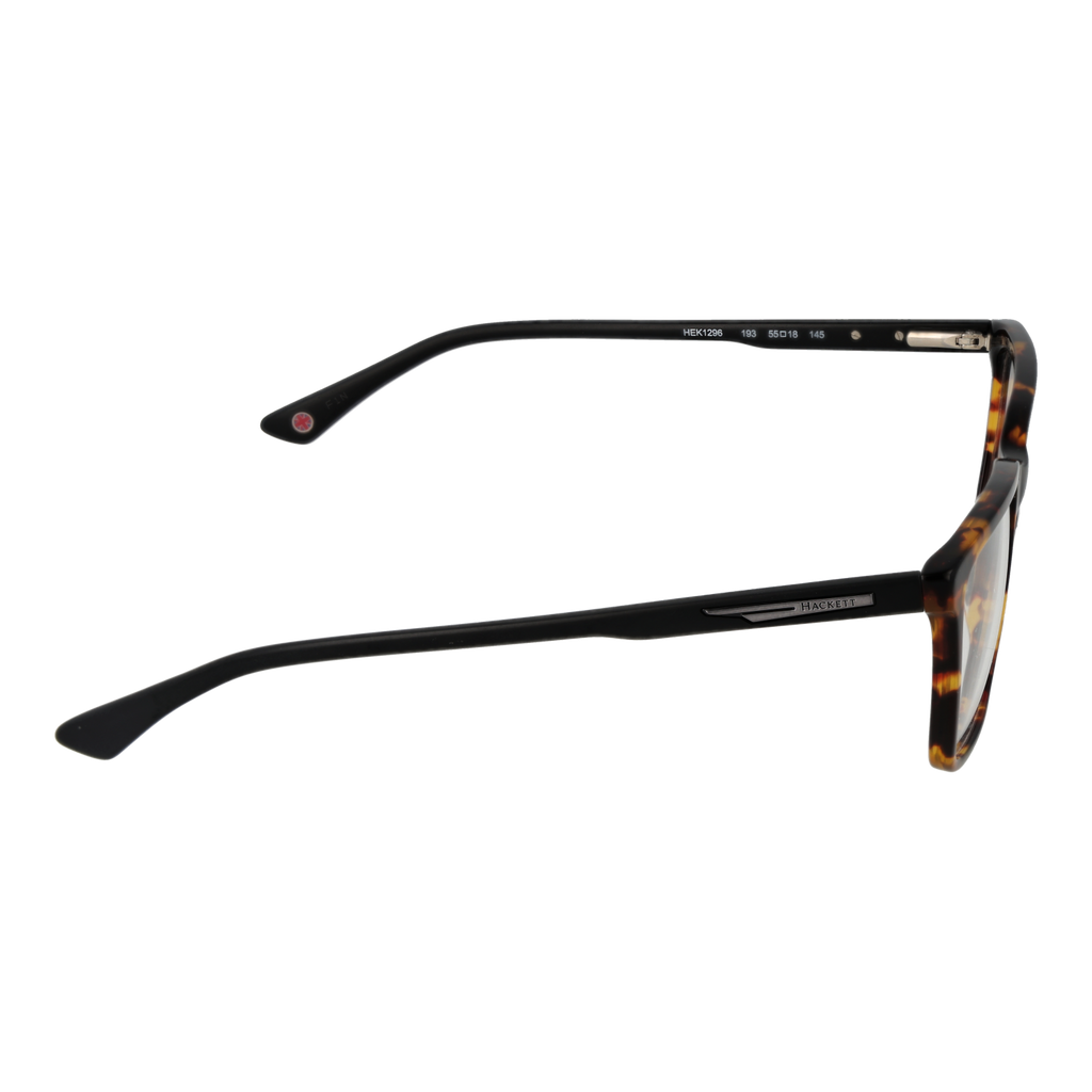 Brown/Demo glasses