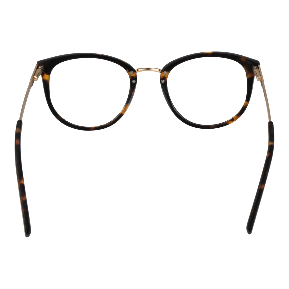 Brown/Demo glasses