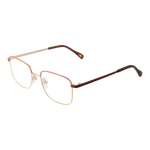 Brown/Demo glasses