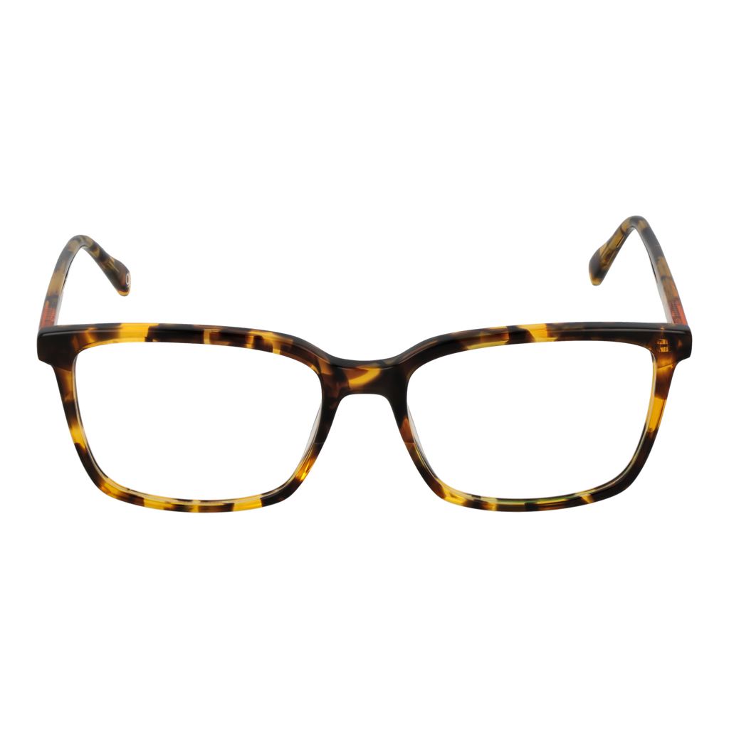 Brown/Demo glasses