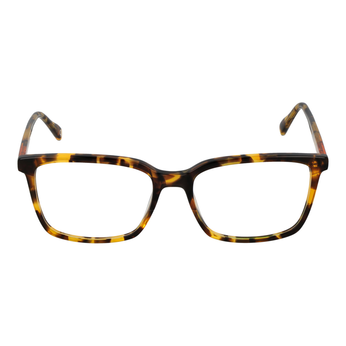 Brown/Demo glasses