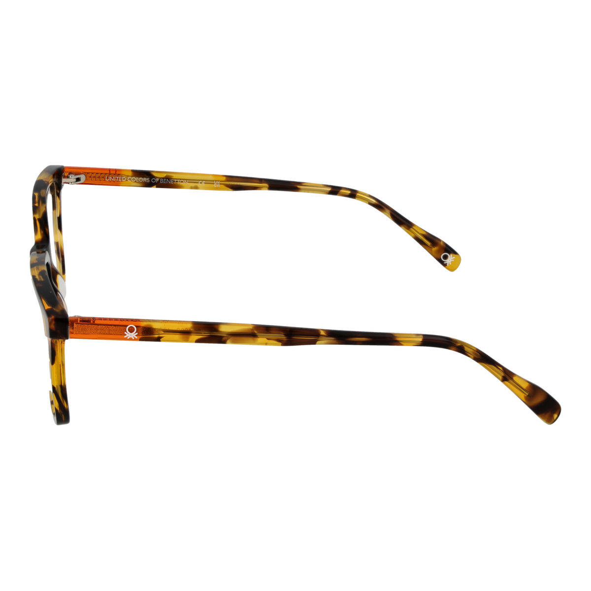 Brown/Demo glasses