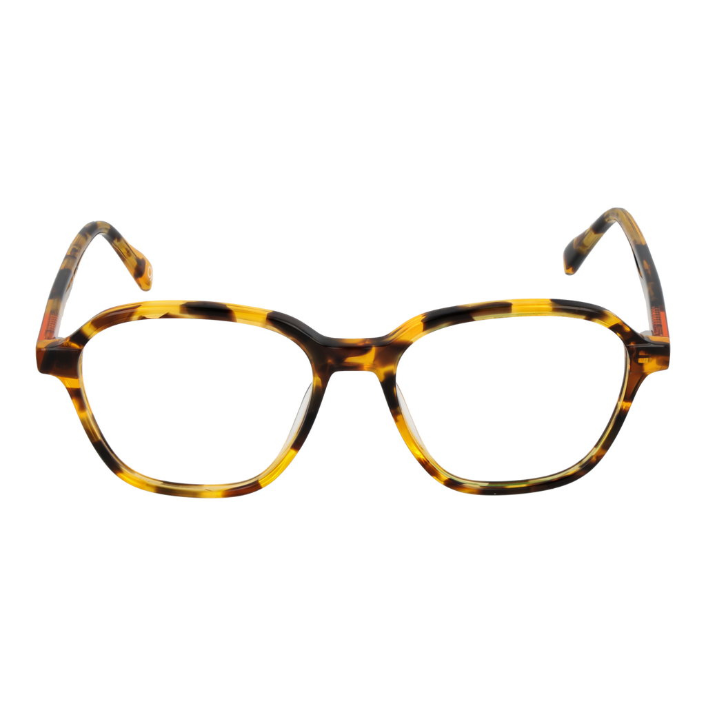 Brown/Demo glasses
