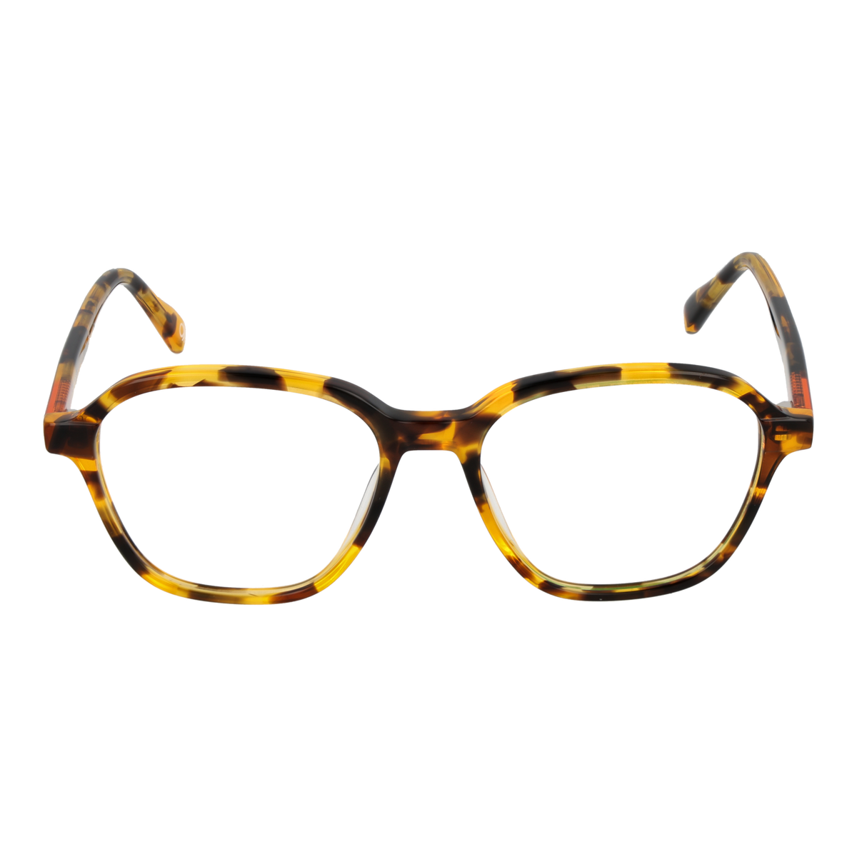 Brown/Demo glasses