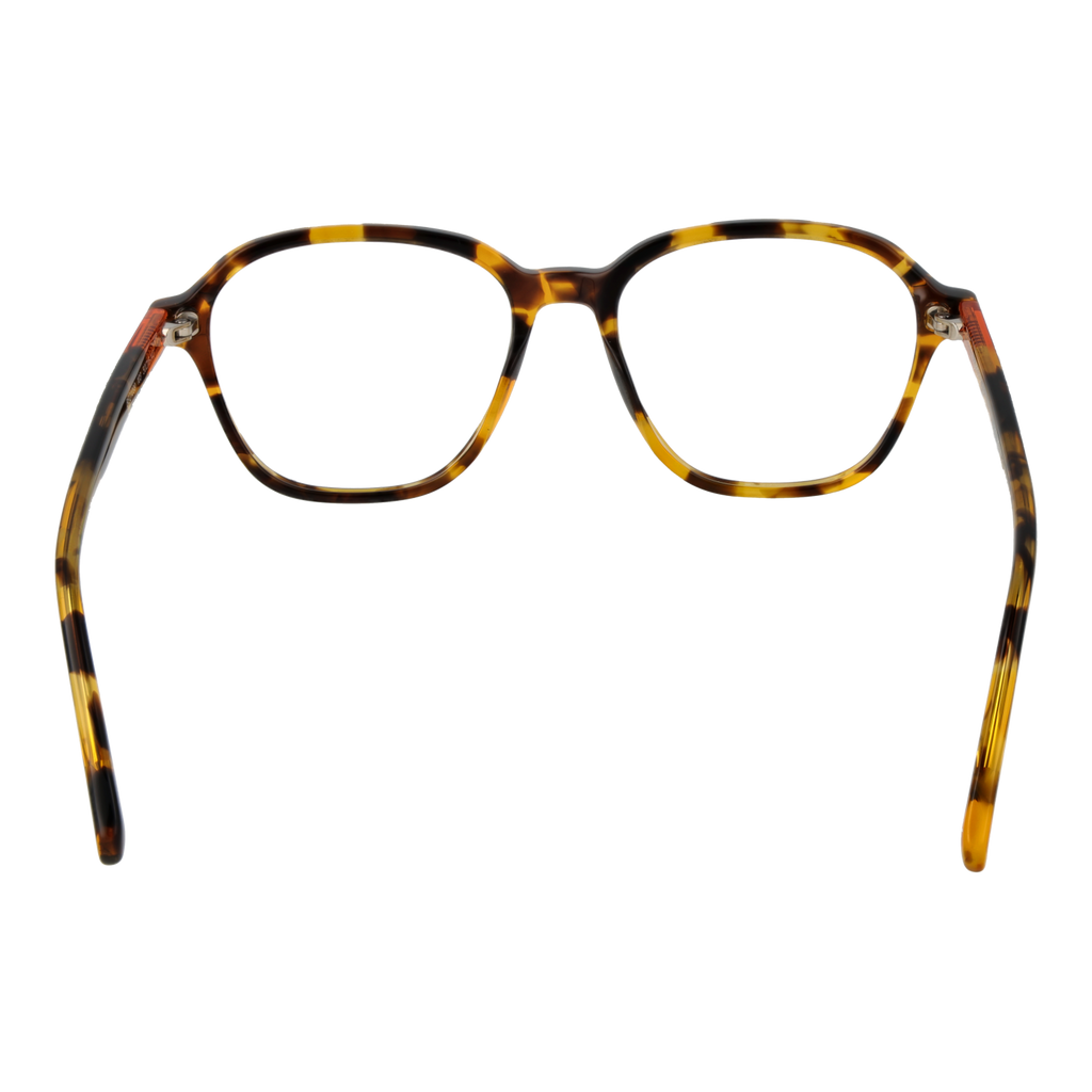 Brown/Demo glasses
