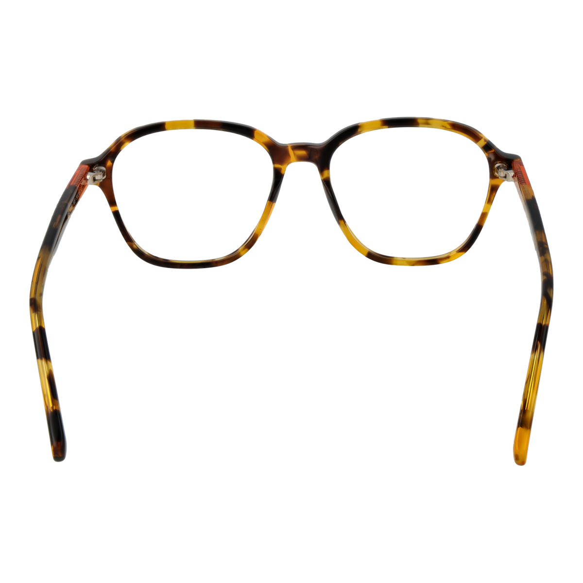 Brown/Demo glasses