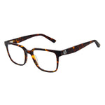Brown/Demo glasses