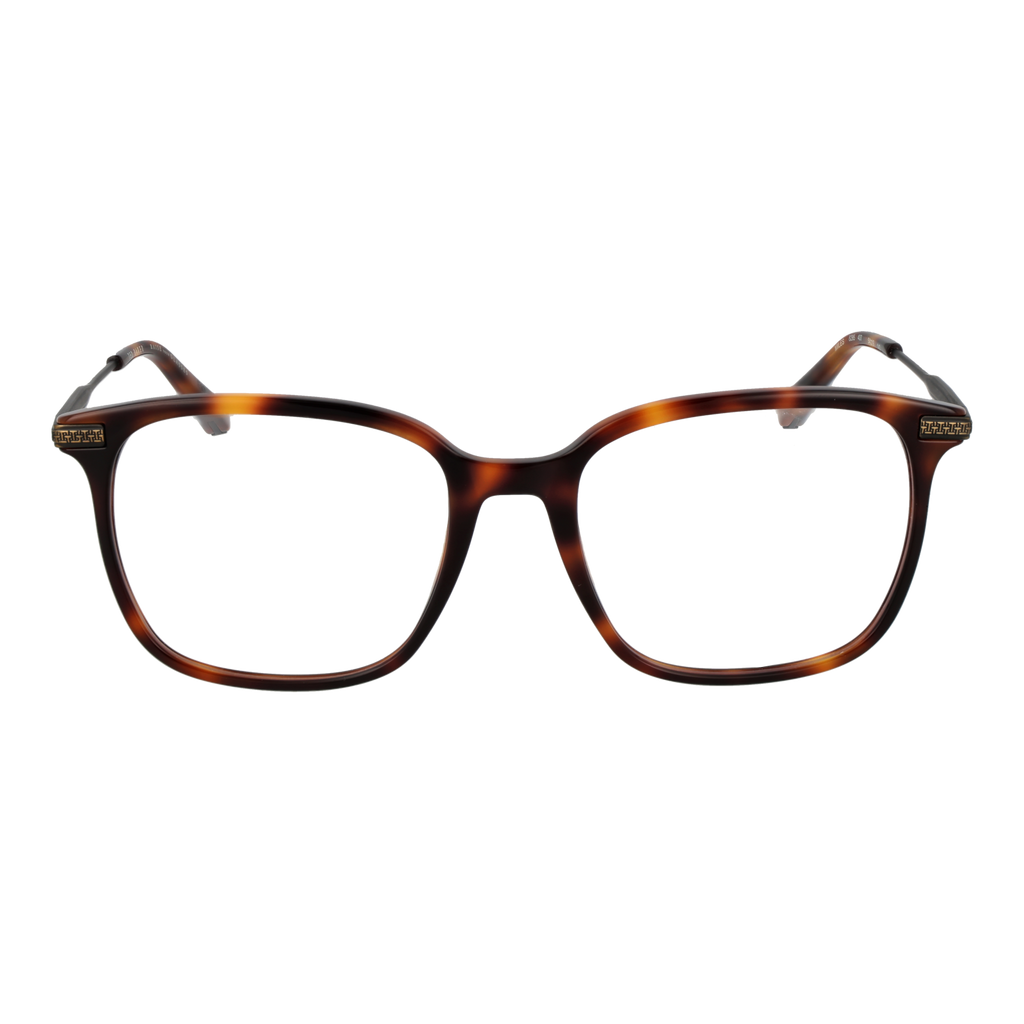 Brown/Demo glasses