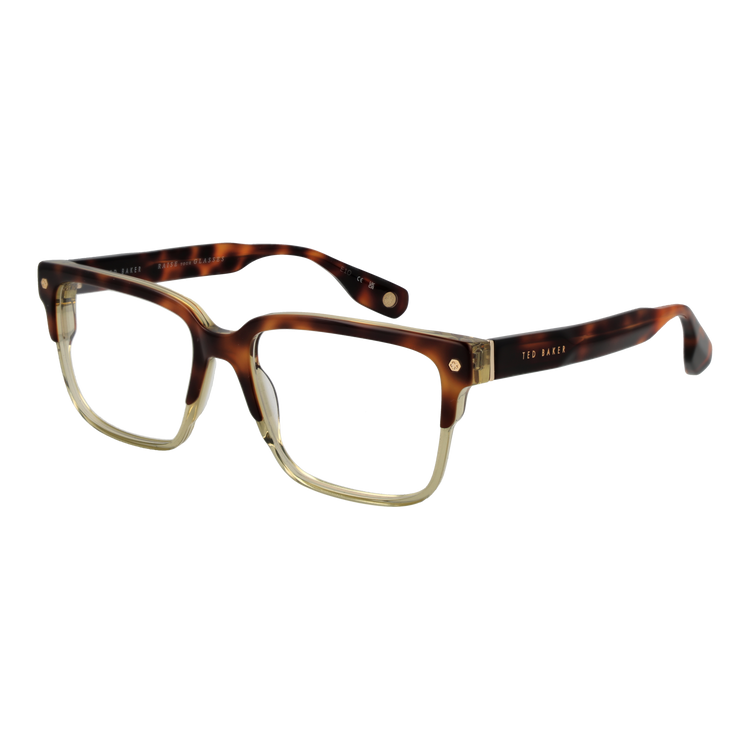 Brown/Demo glasses