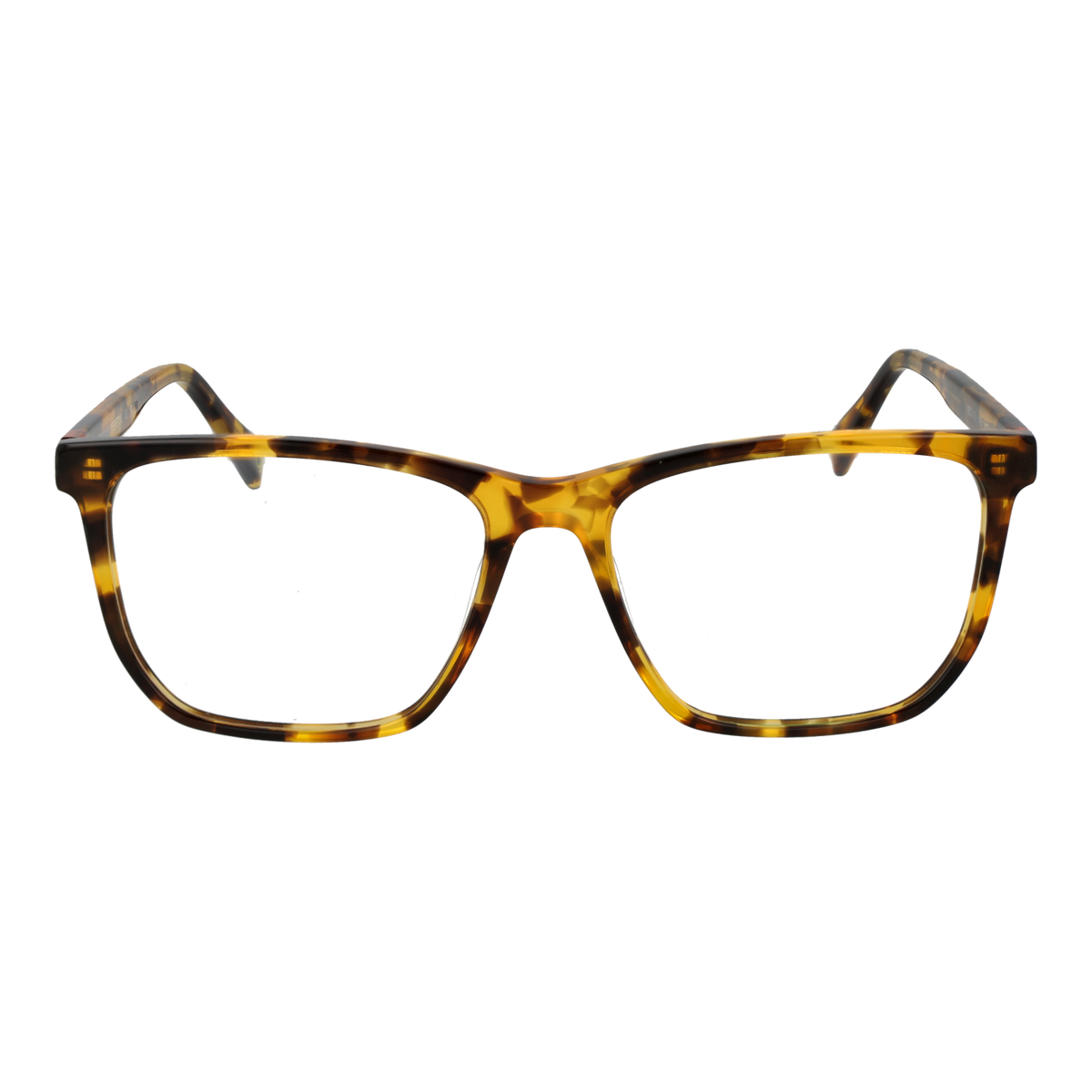 Brown/Demo glasses