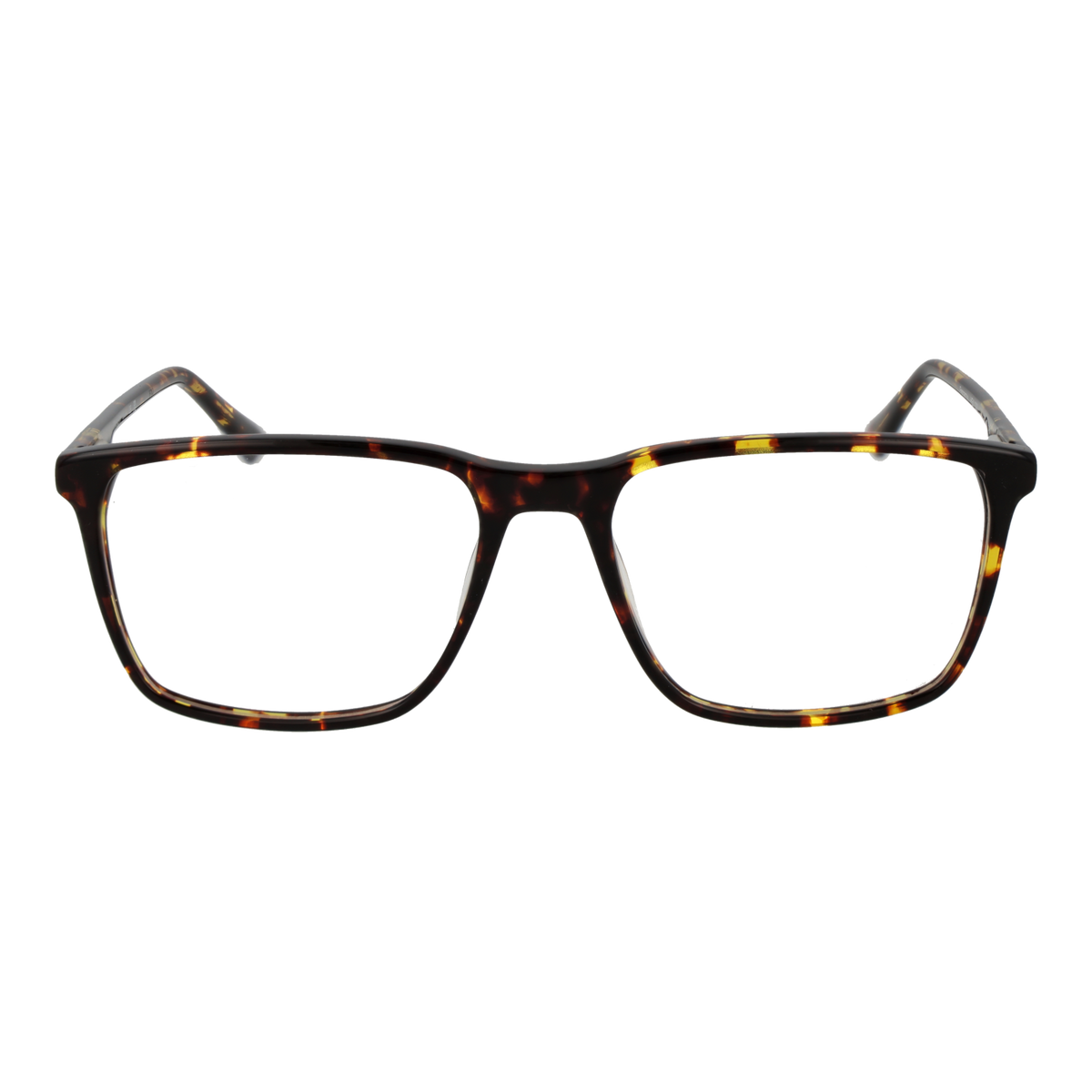 Brown/Demo glasses