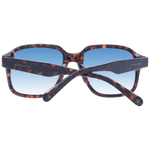 Brown/Blue