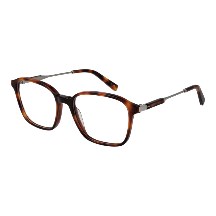 Brown/Demo glasses