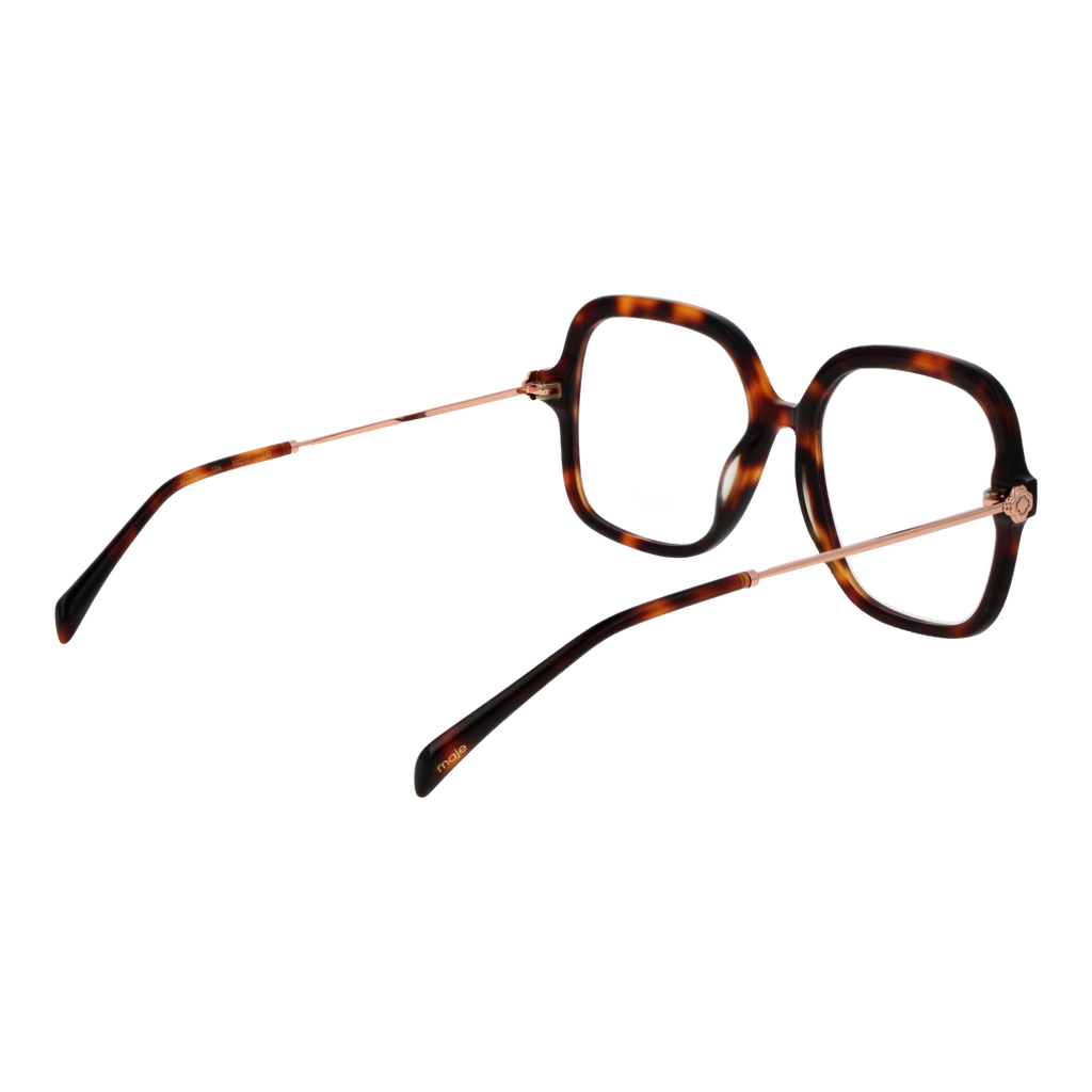 Brown/Demo glasses