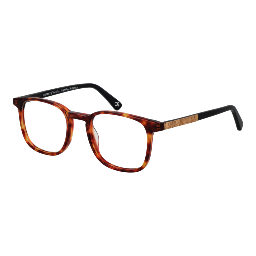 Brown/Demo glasses