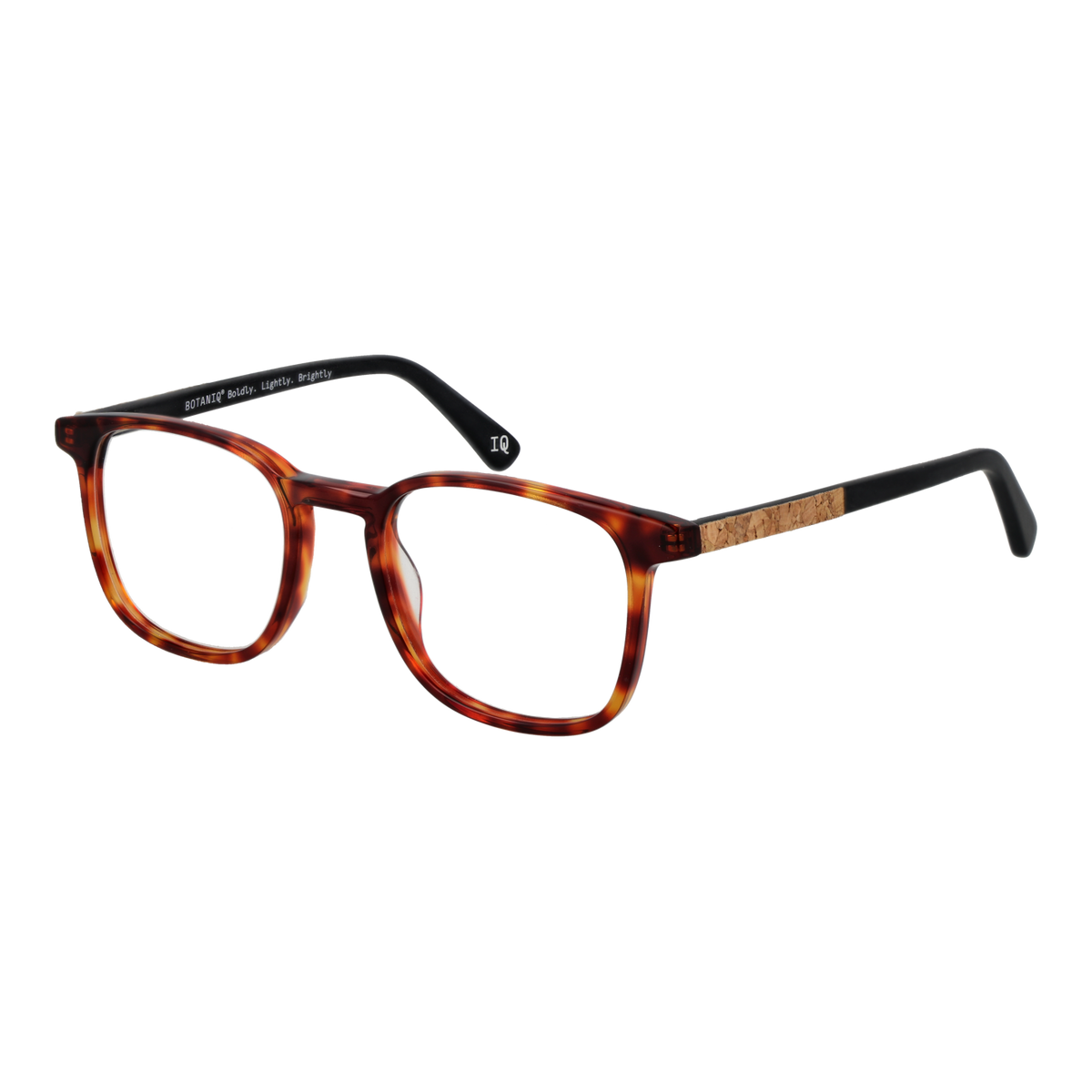 Brown/Demo glasses