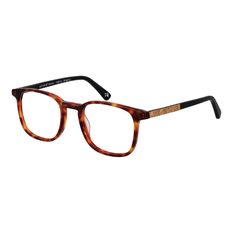 Brown/Demo glasses