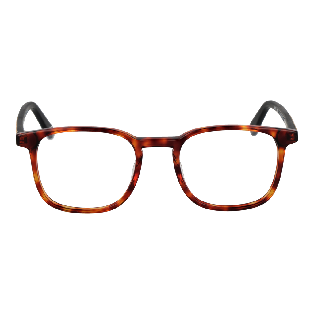 Brown/Demo glasses