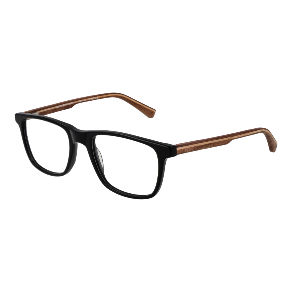 Black/Demo glasses